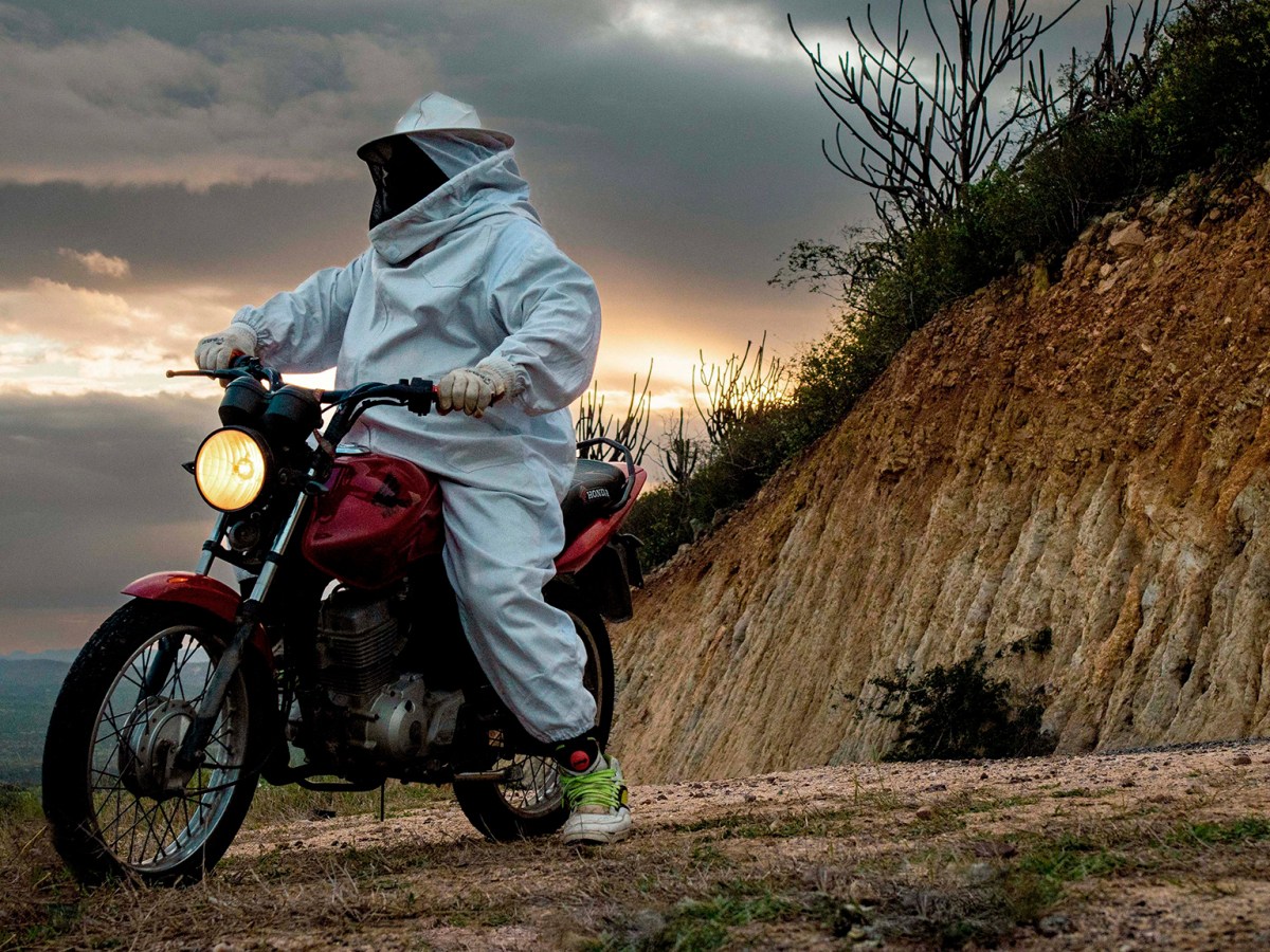 IFFR 2026 Review: “Yellow&nbsp;Cake”